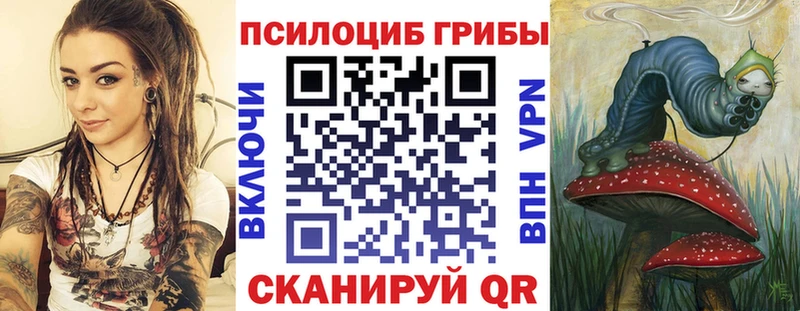ссылка на мегу ONION  Кувшиново  Псилоцибиновые грибы Magic Shrooms  как найти закладки 
